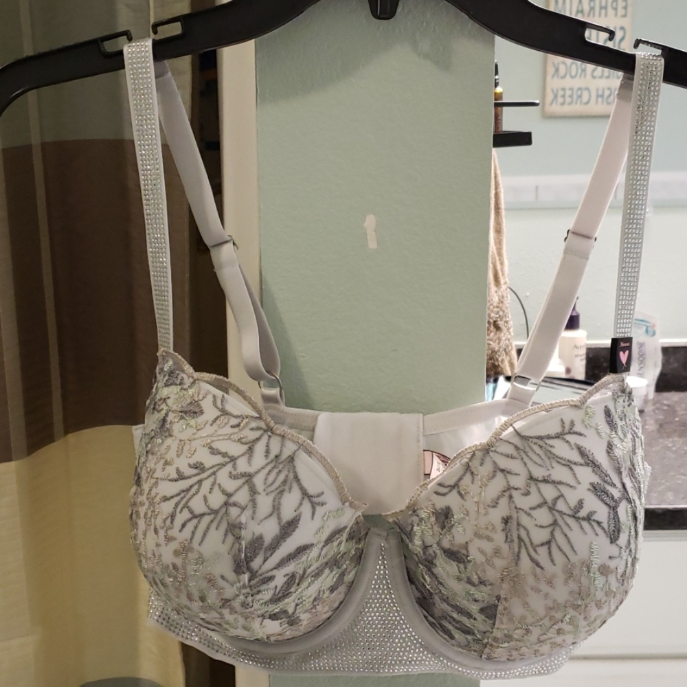VS Dream Angel's bra